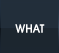 WHAT - Is the Process